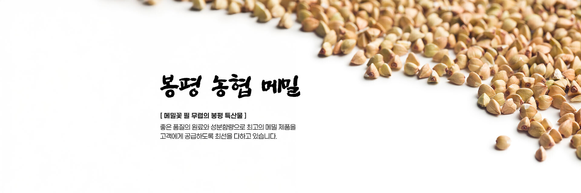 봉평농협 메일가공공장